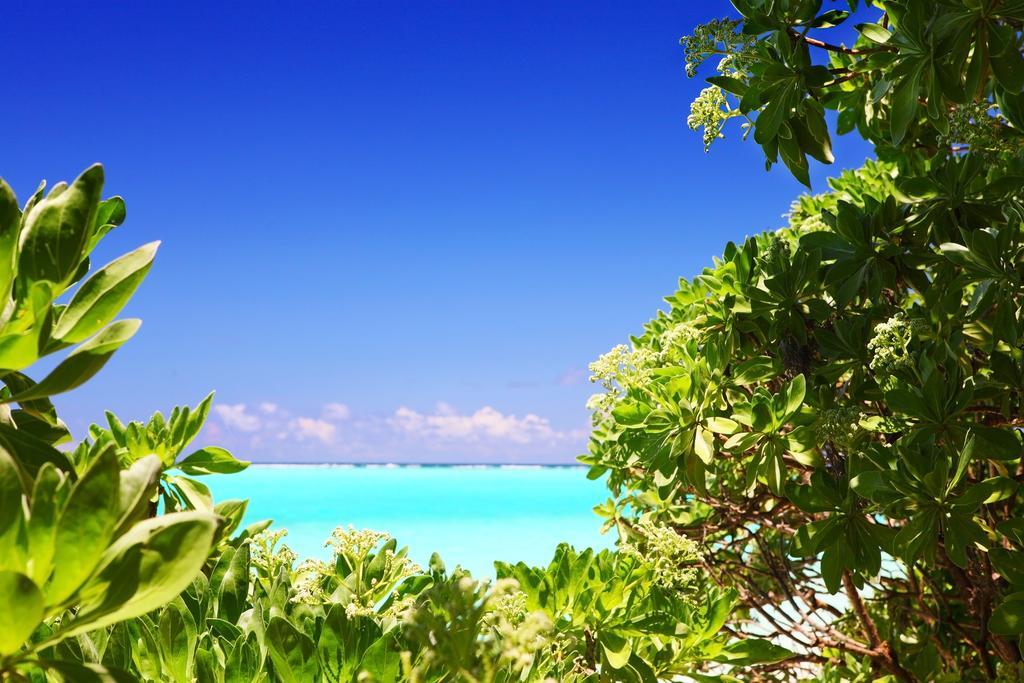 Holiday Cottage Thoddoo, Maldives Экстерьер фото