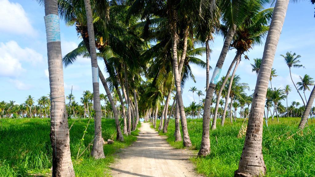 Holiday Cottage Thoddoo, Maldives Экстерьер фото